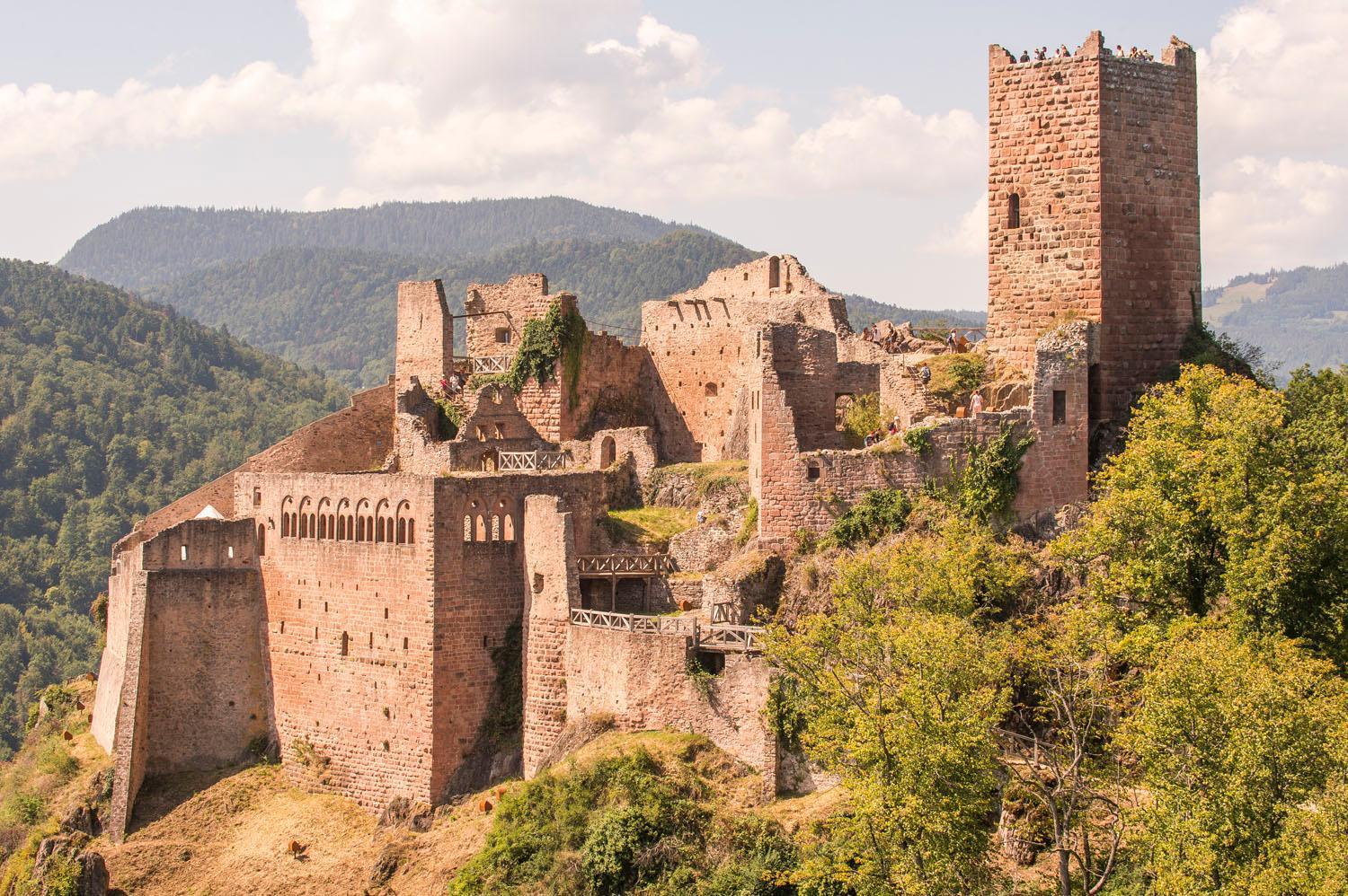 Appartement Cosy Sausheim Εξωτερικό φωτογραφία