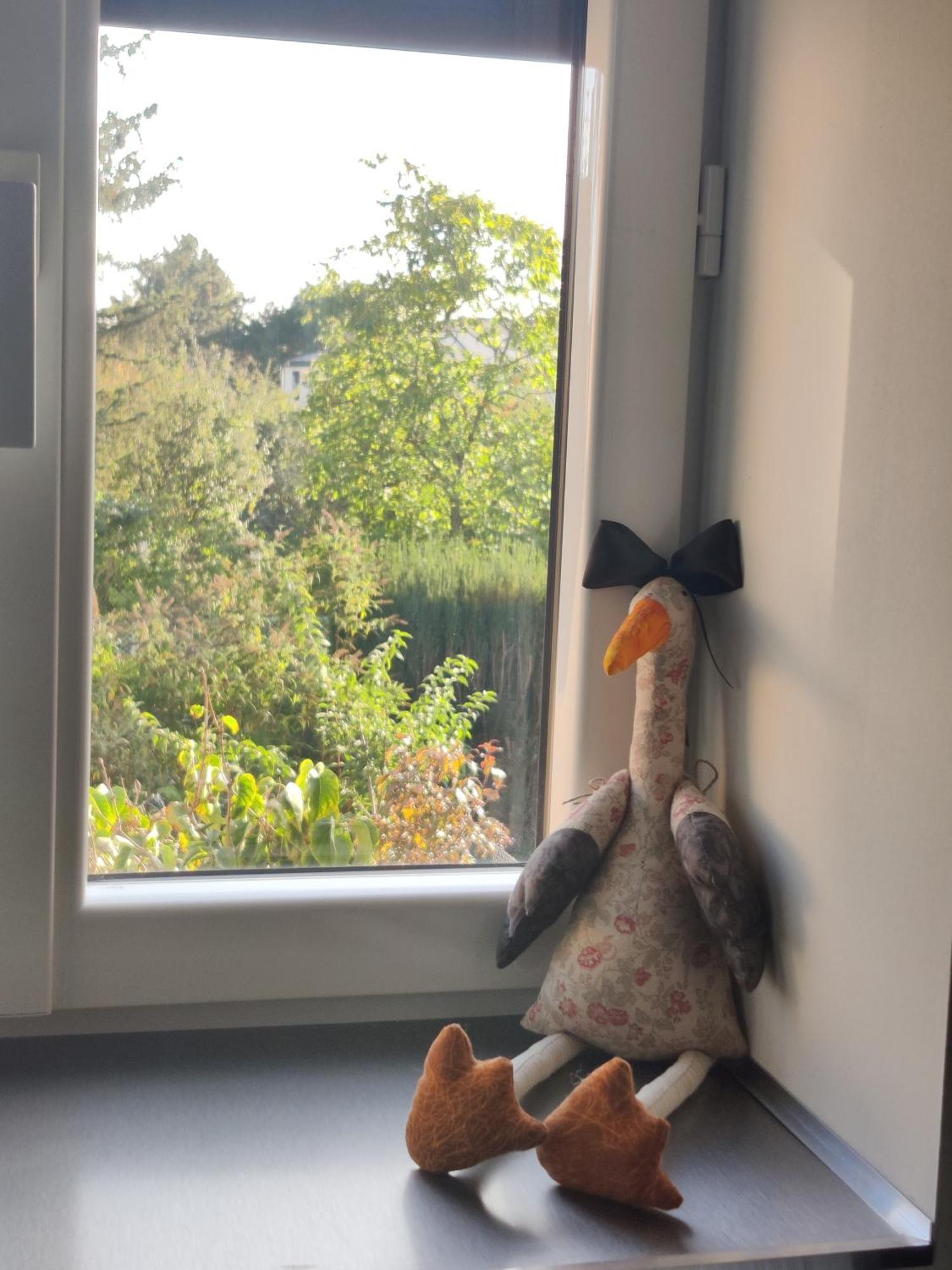 Appartement Cosy Sausheim Εξωτερικό φωτογραφία